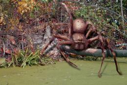 Huntsmanlumberjack